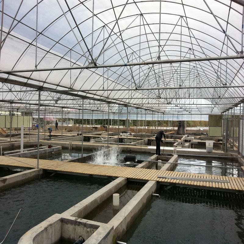 cinq méthodes d’aquaculture à température constante, la pompe à chaleur h.stars résout efficacement les problèmes de contrôle de la température de l’eau